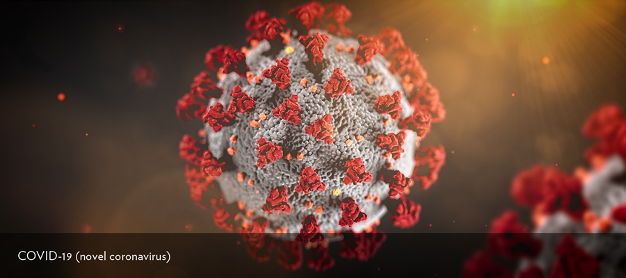 Illustration by the Centers for Disease Control and Prevention (CDC). Red spikes that cover the outer surface of the gray ball-shaped virus.