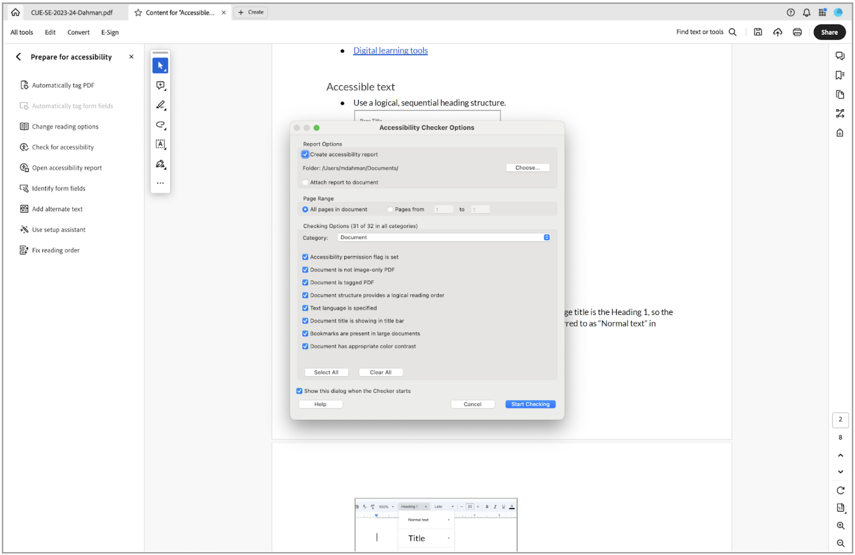 The Accessibility Checker Options in Adobe Acrobat Pro. See caption for more details.