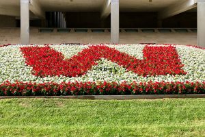Red flowers form the letter W surrounded by white flowers