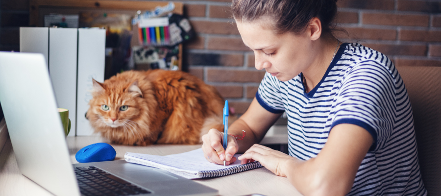 Woman studying at home with an orange cat in front of a laptop
