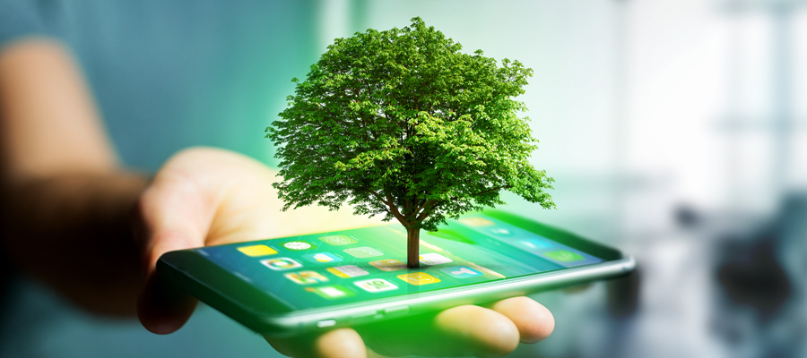 Image of a tree growing out of a smart phone