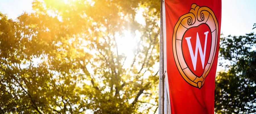 UW Crest banner on Bascom Hill in the summer